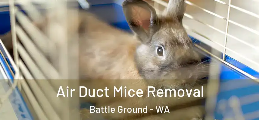Air Duct Mice Removal Battle Ground - WA