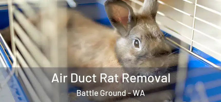  Air Duct Rat Removal Battle Ground - WA