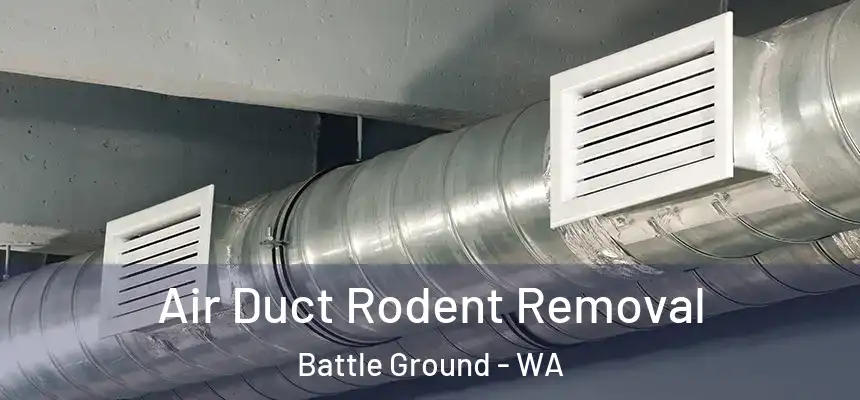  Air Duct Rodent Removal Battle Ground - WA