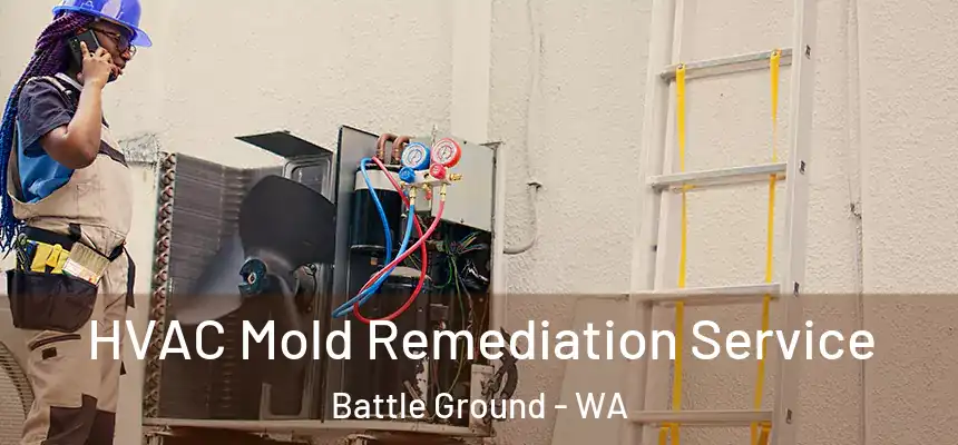 HVAC Mold Remediation Service Battle Ground - WA