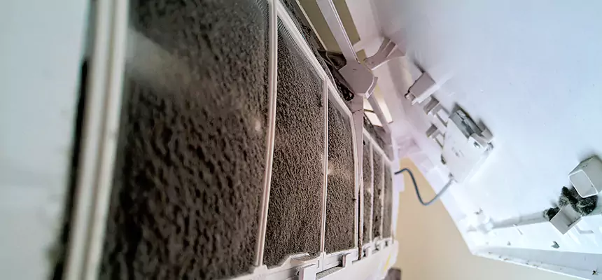 Preventive Air Duct Bacteria Removal in Battle Ground