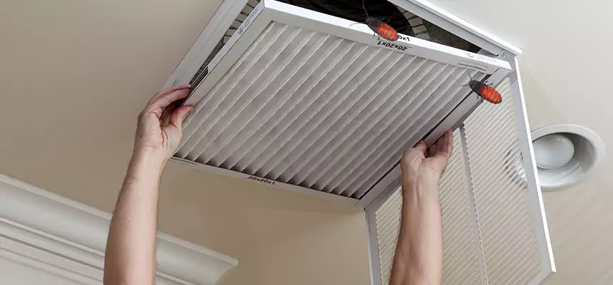 Preventive Cockroach-Proofing for Ducts in Battle Ground