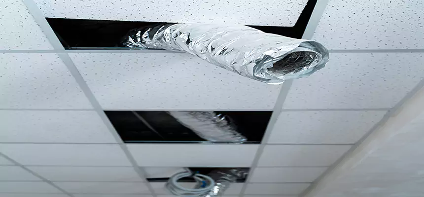 Affordable HVAC Sanitizing After Pest Removal in Battle Ground