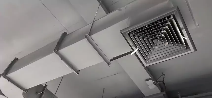 Restorative Allergy Relief Vent Cleaning – Coil, Blower & Housing Detail in Battle Ground