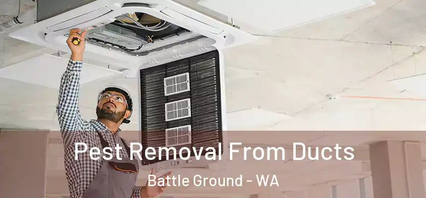 Pest Removal From Ducts Battle Ground - WA