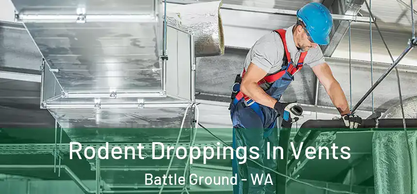 Rodent Droppings In Vents Battle Ground - WA