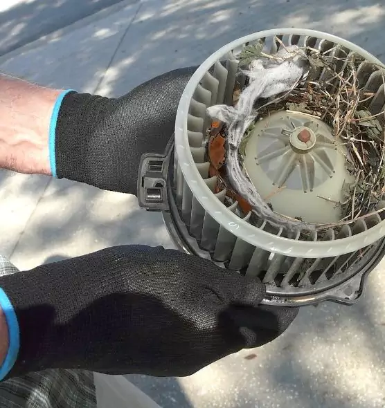 About Air Duct Mice Removal in Battle Ground, WA