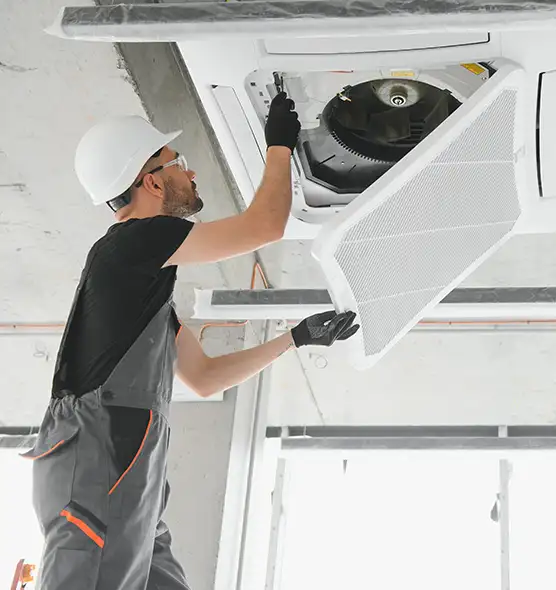 About Air Duct Rodent Removal in Battle Ground, WA