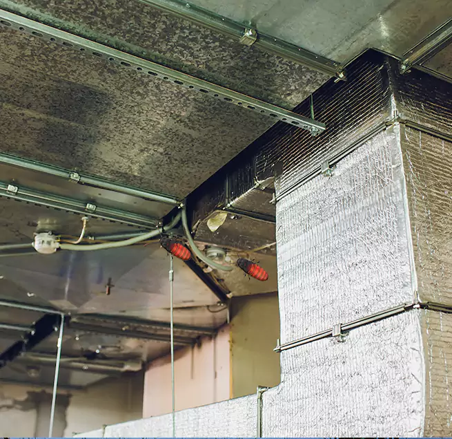 Why Homeowners & Businesses Trust Us in Battle Ground, WA?